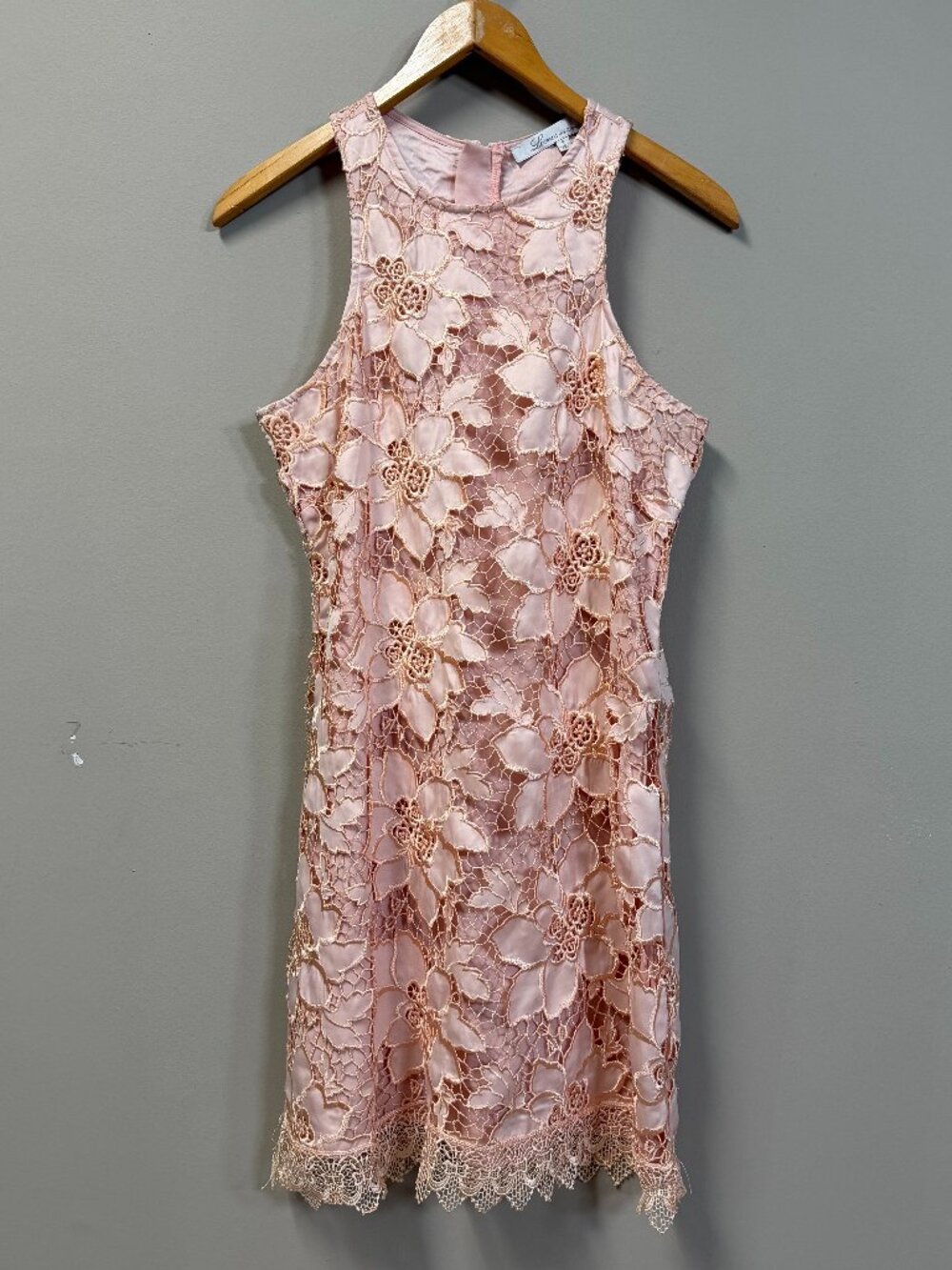 Lovers & Friends Pink Floral Lace Sleeveless Dress Size S